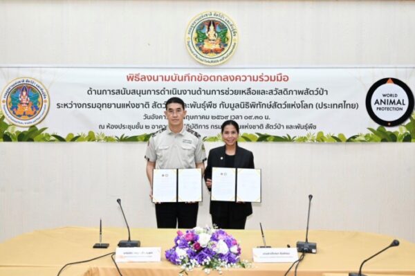 กรมอุทยานฯ ผนึกกำลังร่วมกับ มูลนิธิพิทักษ์สัตว์แห่งโลก (ประเทศไทย)  เสริมสร้างสวัสดิภาพและยกระดับการป้องกันการค้าสัตว์ป่า